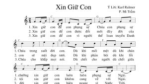 Xin giữ con Mi Trầm