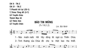thánh vịnh 116