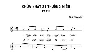 thánh vịnh 116