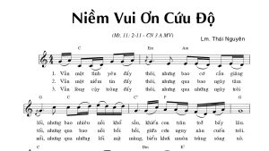 Niềm vui ơn cứu độ