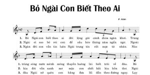 Bỏ ngài con biết theo ai