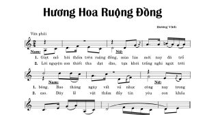 Hương hoa ruộng đồng hương Vĩnh
