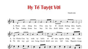 hy tế tuyệt vời thanh lâm