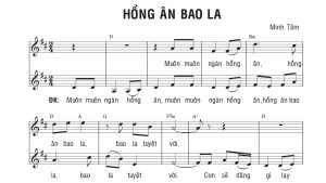 Hồng ân bao la Minh Tâm